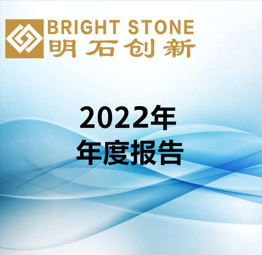 2022年年度報(bào)告