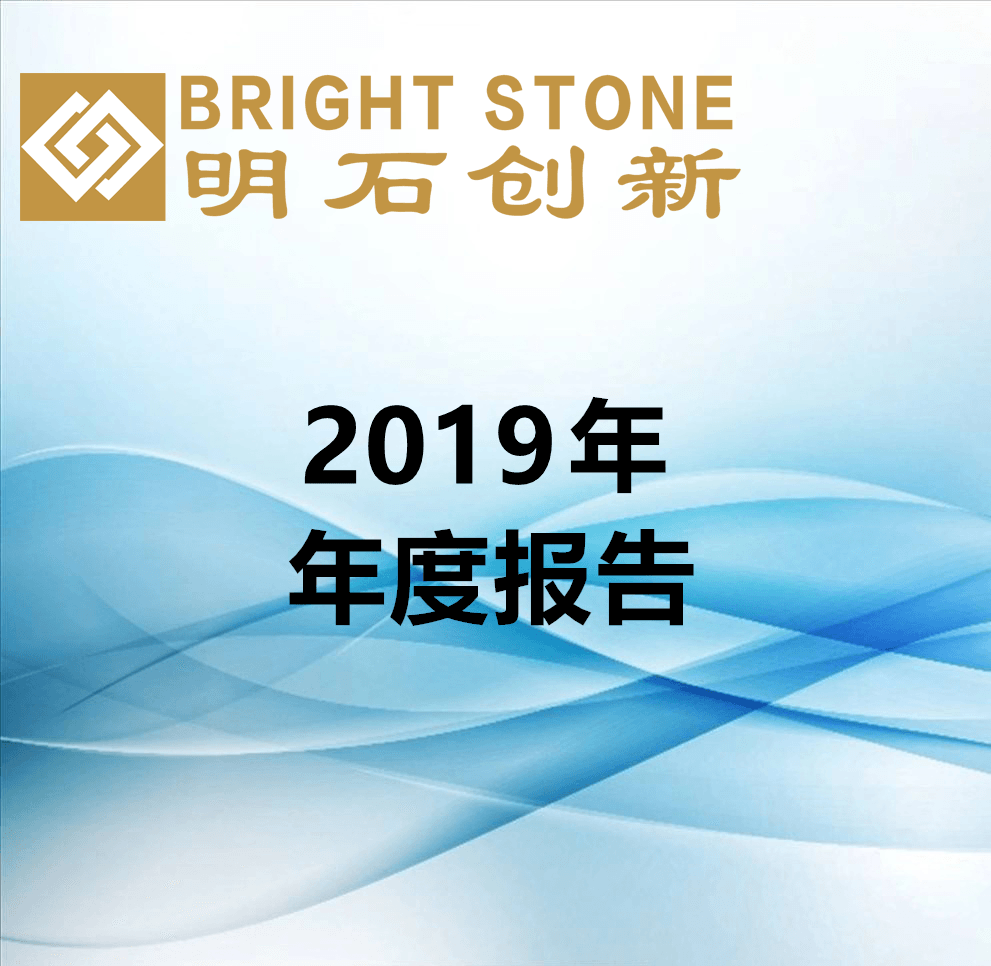 2019年年度報(bào)告