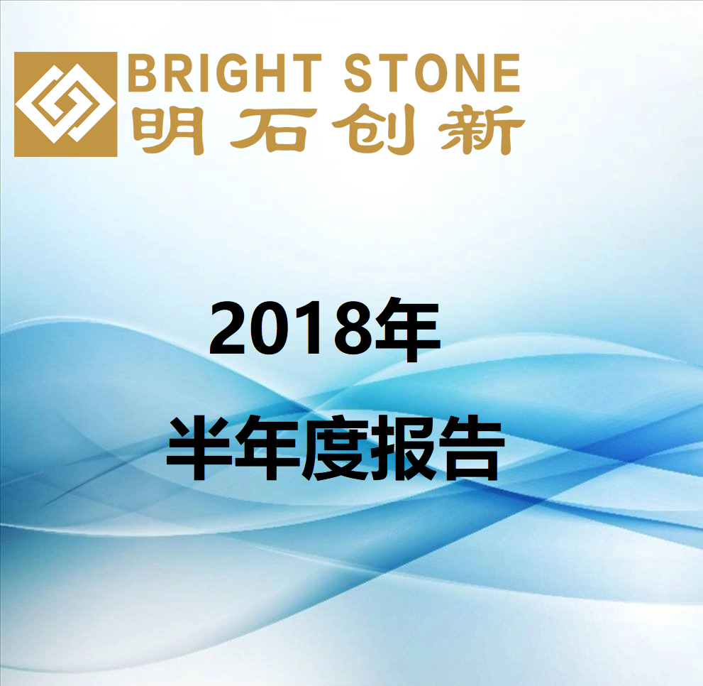 2018年半年度報(bào)告