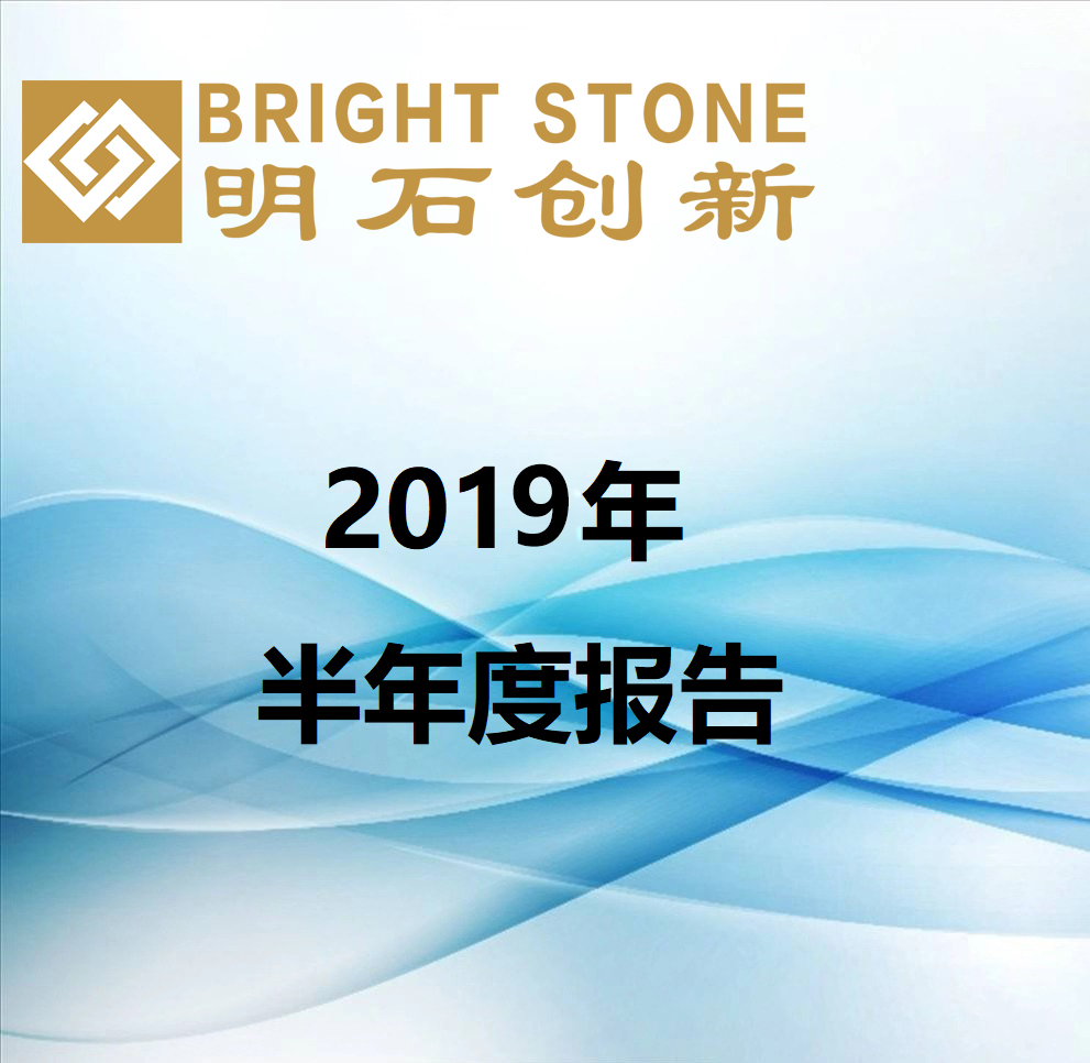 2019年半年度報(bào)告